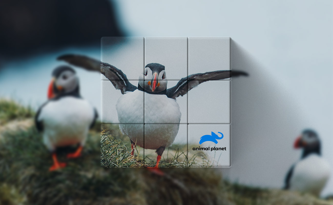 Blox - Spersonalizowane Magiczne kostki reklamowe gallery thumbnail