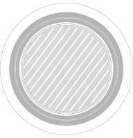 Latający dysk Drukowanie cyfrowe