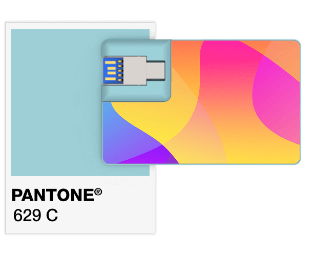 Pantone® Referencje Karta USB